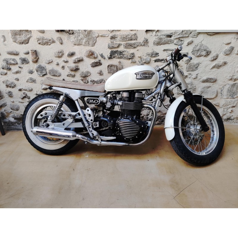 Stator cover Triumph