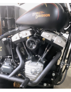 Cache-culbuteurs Twin Cam Shovel